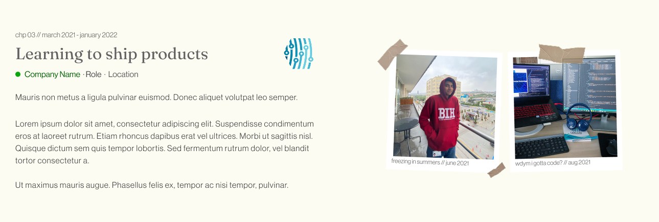 A screenshot of the chapter component on the homepage