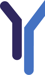 M.Sc. Usability Engineering